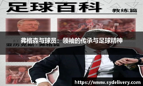 德信体育