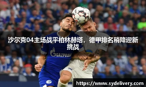 德信体育